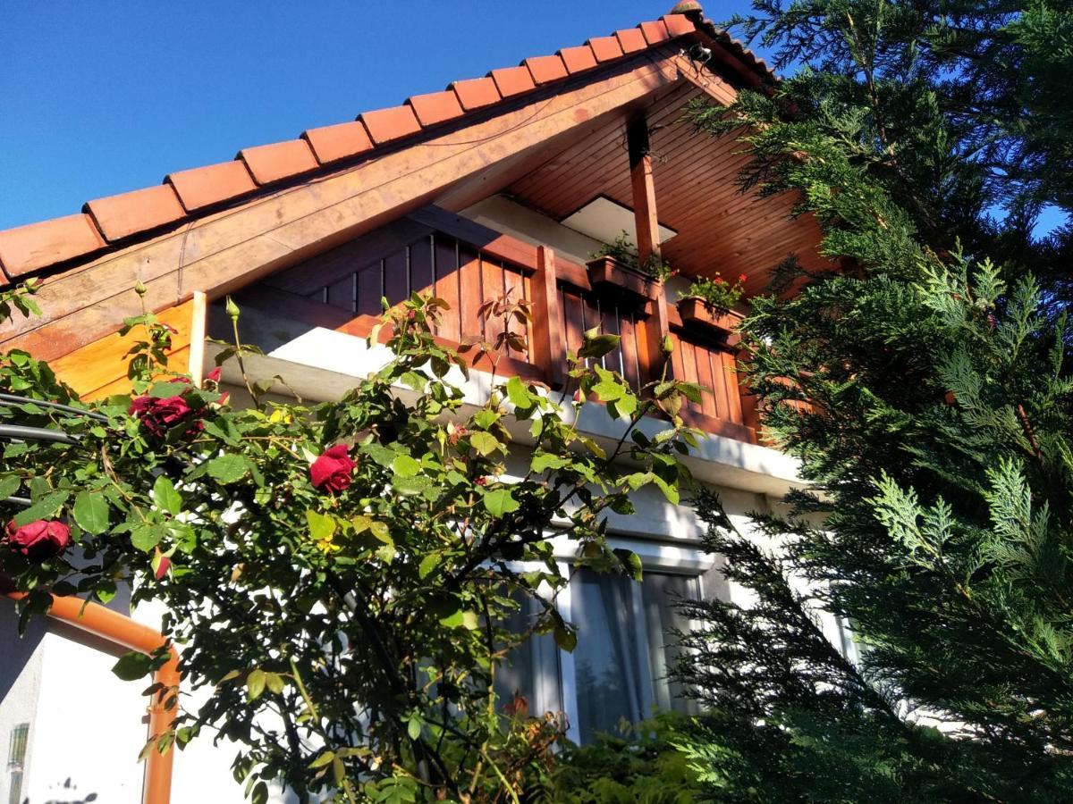 Robitel Wellness Vendeghaz Veszprem-Gyulafiratot Hotel ภายนอก รูปภาพ