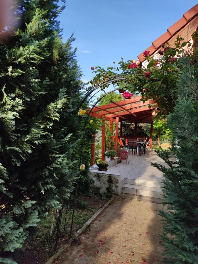 Robitel Wellness Vendeghaz Veszprem-Gyulafiratot Hotel ภายนอก รูปภาพ