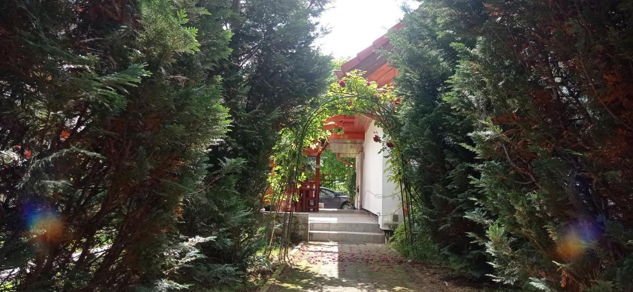 Robitel Wellness Vendeghaz Veszprem-Gyulafiratot Hotel ภายนอก รูปภาพ