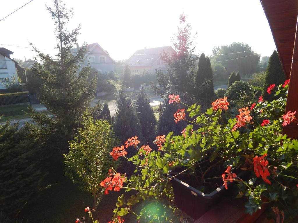 Robitel Wellness Vendeghaz Veszprem-Gyulafiratot Hotel ห้อง รูปภาพ